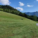 In Near Lift Appartement Flachau