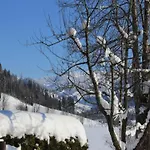 In Near Lift Appartement Flachau
