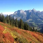 In Near Lift * Flachau