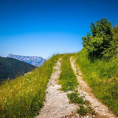 Large Holiday Home With Plenty Of Privacy Appartamento Flachau
