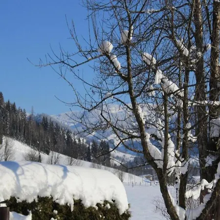 Large With Plenty Of Privacy Appartement Flachau