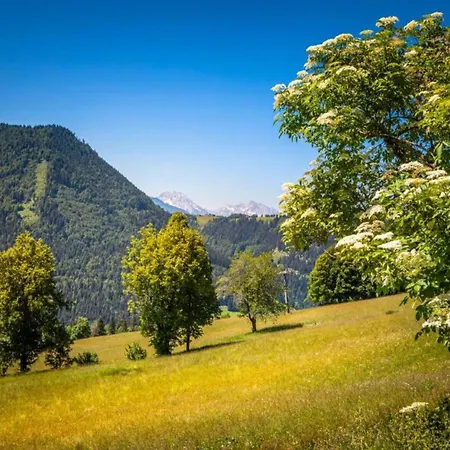 Large Holiday Home With Plenty Of Privacy * Flachau