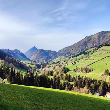 Large Holiday Home With Plenty Of Privacy Appartamento Flachau