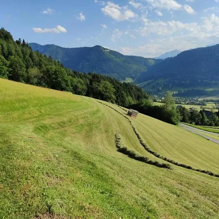 Large With Plenty Of Privacy * Flachau