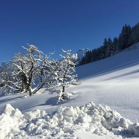 In Near Lift Appartamento *