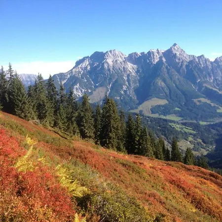 Large Holiday Home With Plenty Of Privacy * Flachau
