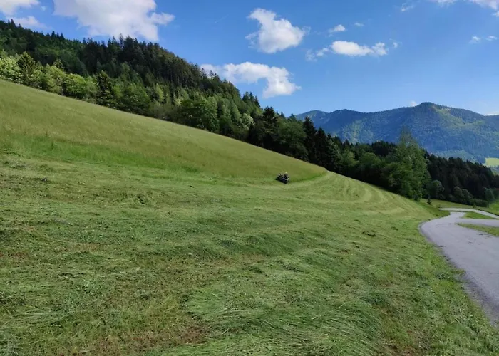 In Near Lift 公寓 弗拉绍